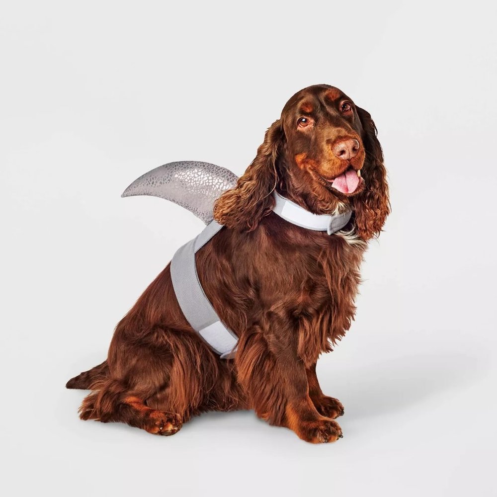 Dog Pet Hyde & EEK! Boutique SHARK FIN Halloween Costume Size XXS/XS L/XL NWT